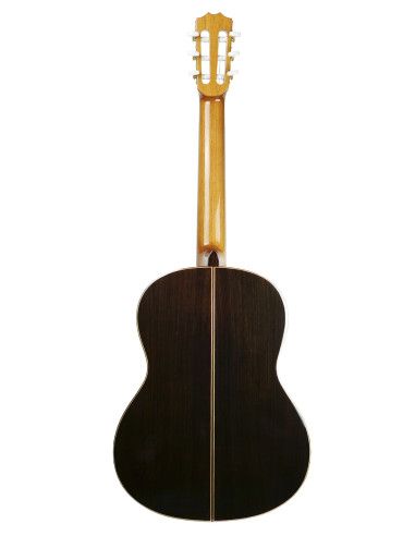 Guitarra flamenca Vicente Tatay C320.593N +...