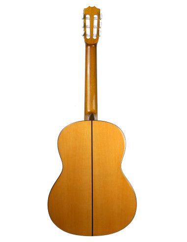Guitarra flamenca Vicente Tatay C320.593B +...