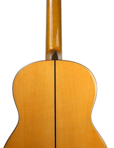 Guitarra flamenca Vicente Tatay C320.593B +...
