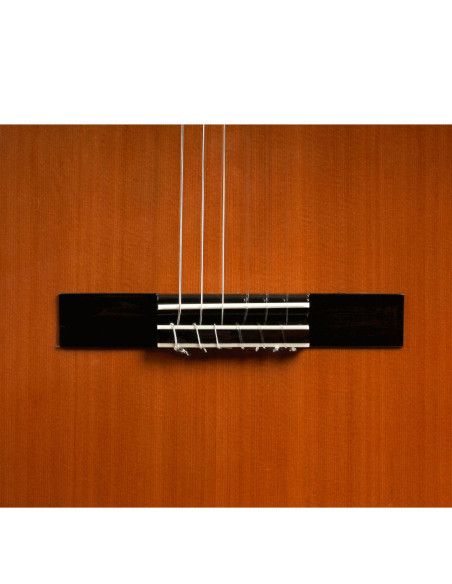 Guitarra clásica Antonio de Toledo AT-18C + funda 20 mm