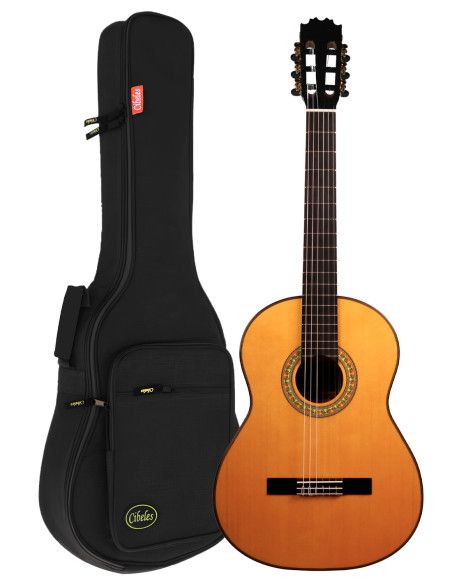 Guitarra flamenca Vicente Tatay C320.595B + funda 15mm