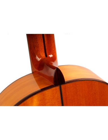 Guitarra flamenca Vicente Tatay C320.595B +...