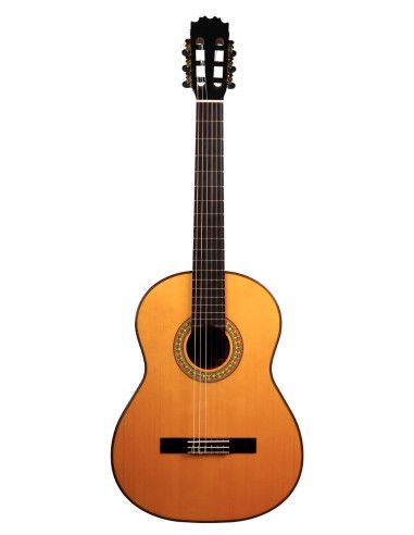 Guitarra flamenca Vicente Tatay C320.595B +...