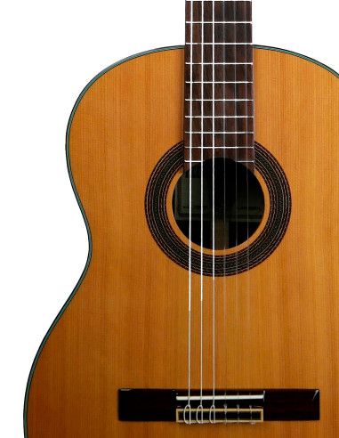 Guitarra Clásica Vicente Tatay C320.206C +...