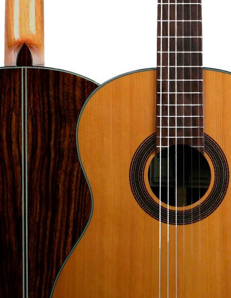 Guitarra Clásica Vicente Tatay C320.206C + funda 15 mm