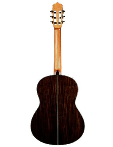 Guitarra Clásica Vicente Tatay C320.206C +...