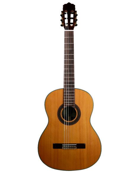 Guitarra Clásica Vicente Tatay C320.206C + funda 15 mm