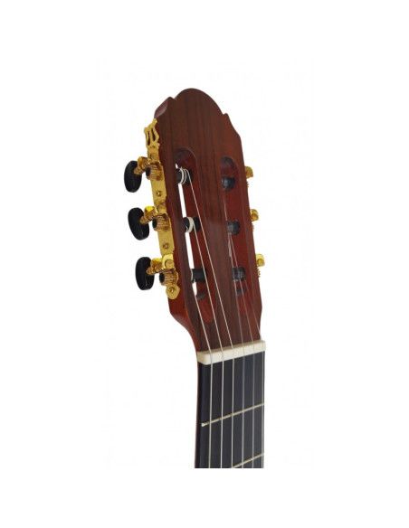Guitarra flamenca Vicente Tatay C320.301F + funda 10 mm