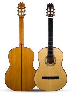 Guitarra flamenca Martinez MF17 + Estuche 2