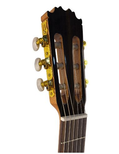 Guitarra flamenca Vicente Tatay C320.560 +...