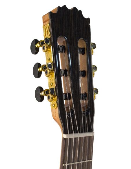 Guitarra flamenca Vicente Tatay C320.590 + funda acolchada