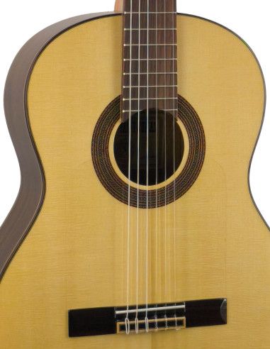 Guitarra flamenca Vicente Tatay C320.590 PF +...