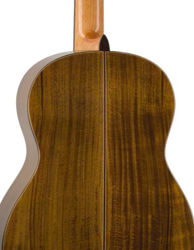 Guitarra flamenca Vicente Tatay C320.590 PF +...