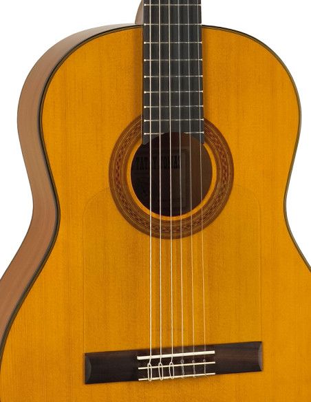Guitarra flamenca Vicente Tatay C320.301F + funda 10 mm