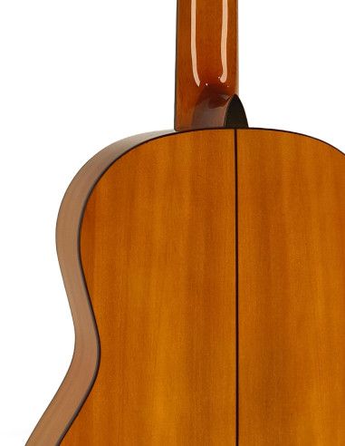 Guitarra flamenca Vicente Tatay C320.301F +...