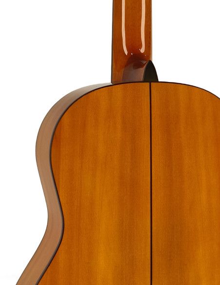 Guitarra flamenca Vicente Tatay C320.301F + funda 10 mm