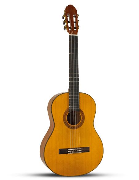 Guitarra flamenca Vicente Tatay C320.301F + funda 10 mm