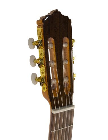 Guitarra flamenca Vicente Tatay C320.580 +...